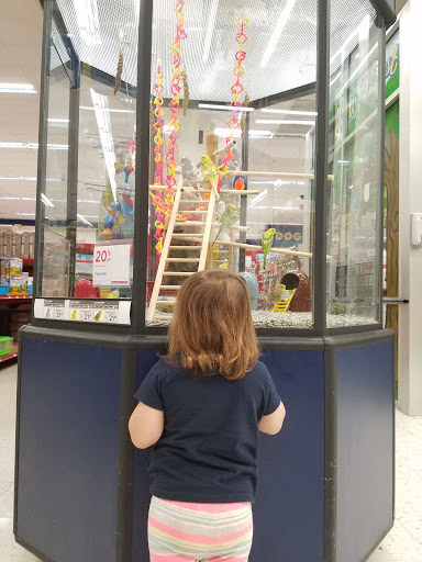 Pet Supply Store «Petco Animal Supplies», reviews and photos, 420 El Cerrito Plaza, El Cerrito, CA 94530, USA
