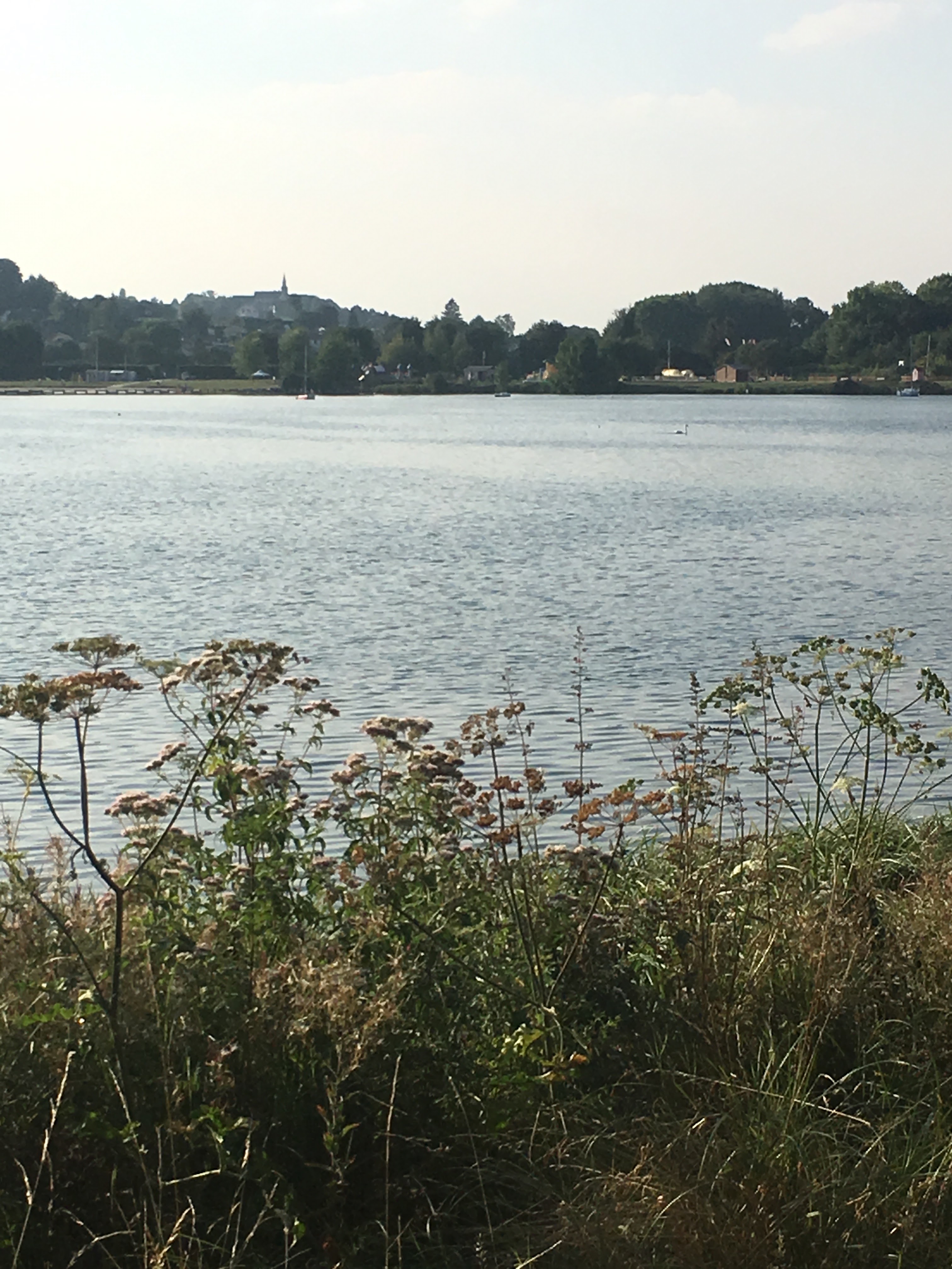 Photo n° 4 de l'avis de Li.o fait le 15/08/2018 à 20:57