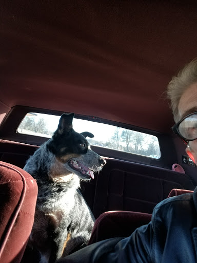 Tobacco Shop «Feather Falls Smoke Shop», reviews and photos, 10 Alverda Dr, Oroville, CA 95966, USA