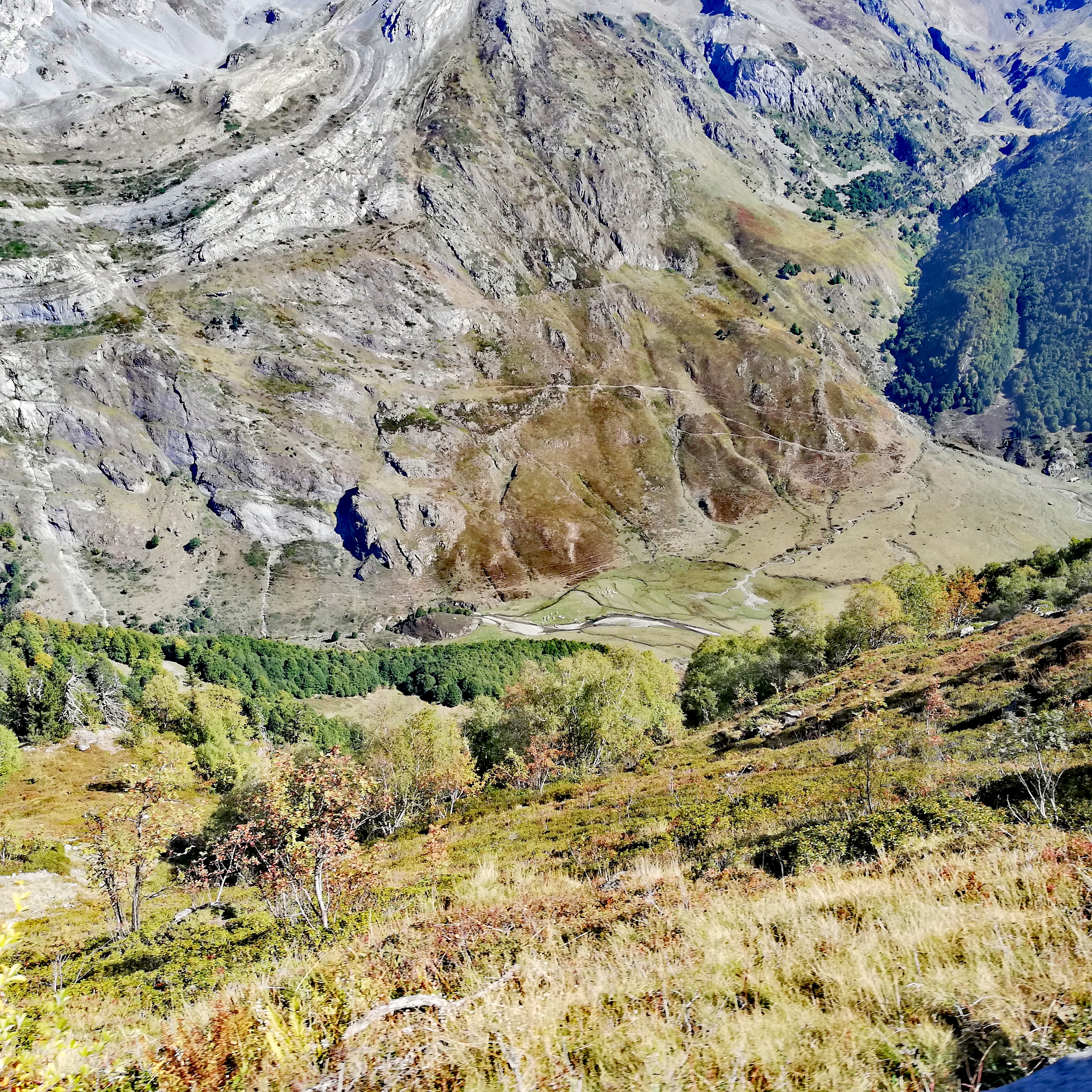 Photo n° 5 de l'avis de boileau.r fait le 29/09/2022 à 17:25