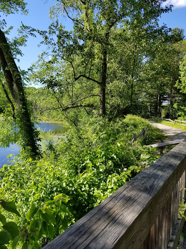 Park «Shelton Dog Park», reviews and photos, Nells Rock Rd, Shelton, CT 06484, USA