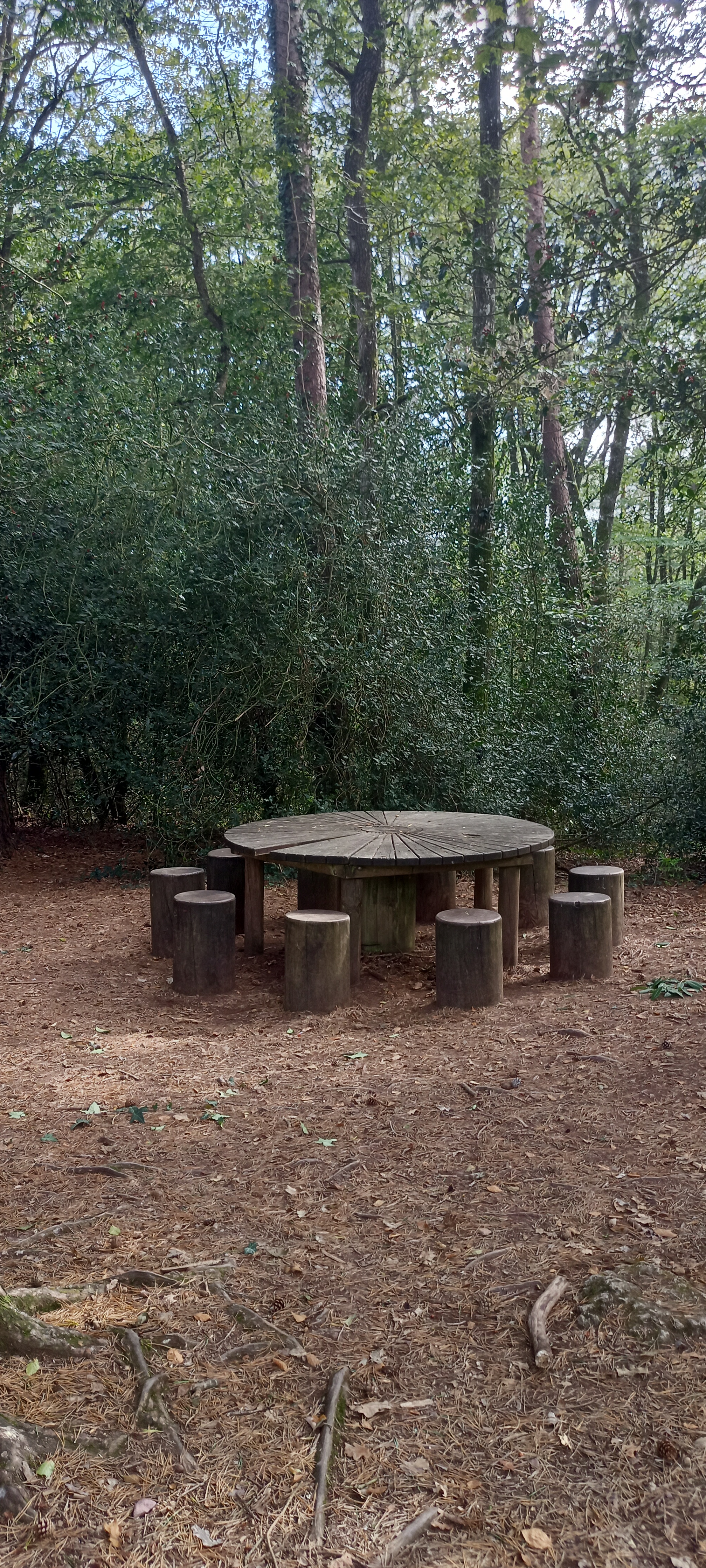 Photo n° 1 de l'avis de Angélique. fait le 08/10/2023 à 19:26