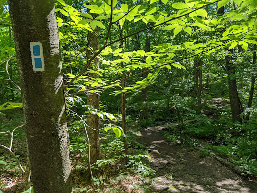 Tourist Attraction «Black Ledge Falls», reviews and photos, Hebron Ave, Glastonbury, CT 06033, USA