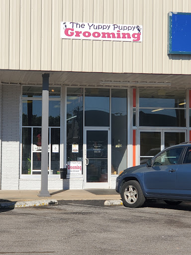 The Yuppy Puppy and the City Kitty