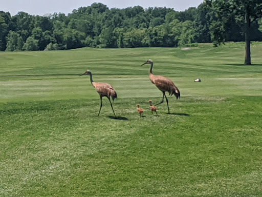 Golf Course «Lyon Oaks Golf Club», reviews and photos, 52251 Pontiac Trail, Wixom, MI 48393, USA