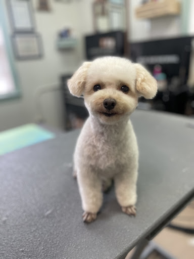 Pet Supply Store «Crossroads Pets», reviews and photos, 707 Monroe St, Nashville, TN 37208, USA