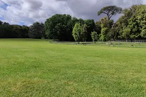 Porta Piccola Bosco e Museo di Capodimonte image