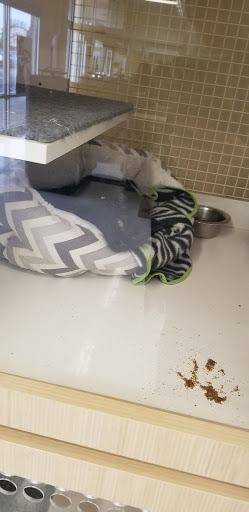 Pet Supply Store «Petco Animal Supplies», reviews and photos, 1018 Mt Prospect Plaza, Mt Prospect, IL 60056, USA