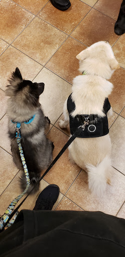 Pet Supply Store «PetSmart», reviews and photos, 1110 NY-112, Port Jefferson Station, NY 11776, USA