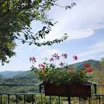 Photo n°3 de l'avis de Beatrice.e fait le 20/08/2020 à 22:03 sur le  Country House La Farfalla à Pietralunga