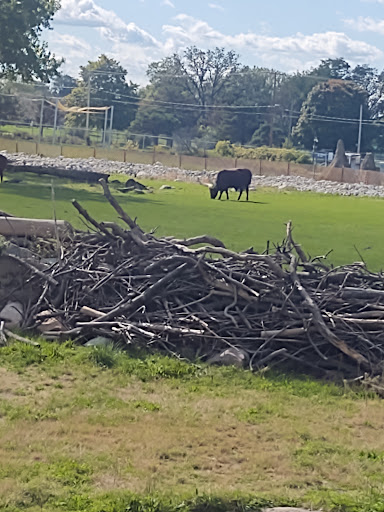 Zoo «Toledo Zoo», reviews and photos, 2 Hippo Way, Toledo, OH 43609, USA