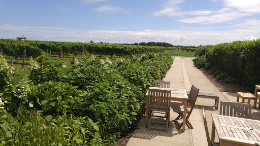Vineyard «Wölffer Estate Vineyard», reviews and photos, 139 Sagg Rd, Sagaponack, NY 11962, USA