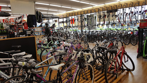 Bicycle Store «Mineola Bicycle, Fitness & Mower», reviews and photos, 475 Jericho Turnpike, Mineola, NY 11501, USA