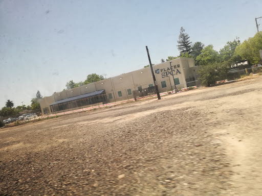 Thrift Store «Placer SPCA Thrift Store», reviews and photos, 931 Washington Blvd #107, Roseville, CA 95678, USA