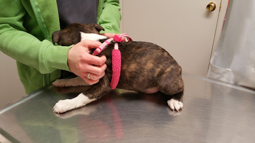 Redwood Veterinary Hospital image