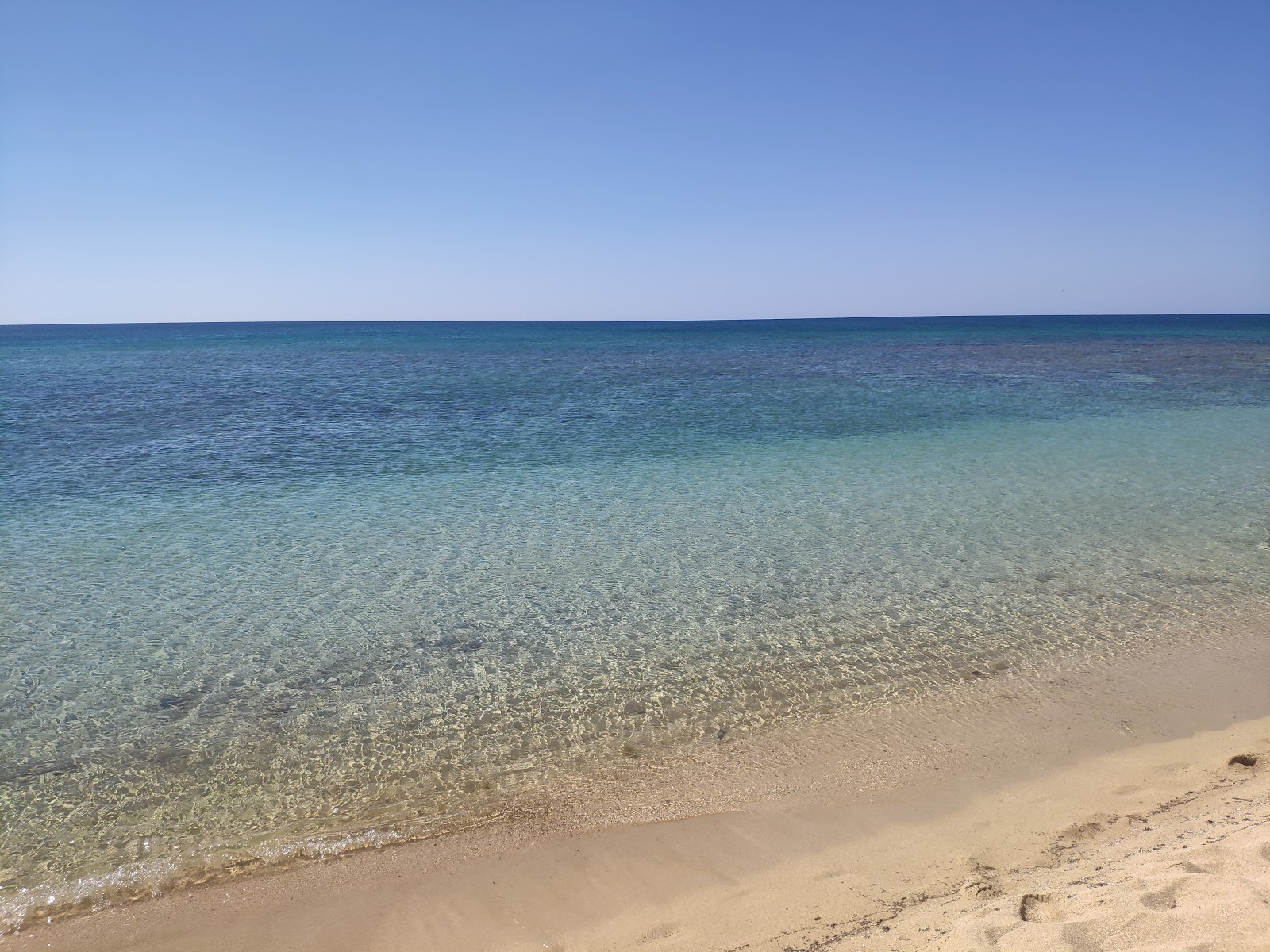 Foto de Spiaggia di Borraco zona salvaje