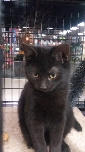 Pet Supply Store «Pet Valu», reviews and photos, 130 Tuttle Rd, Springfield, OH 45503, USA