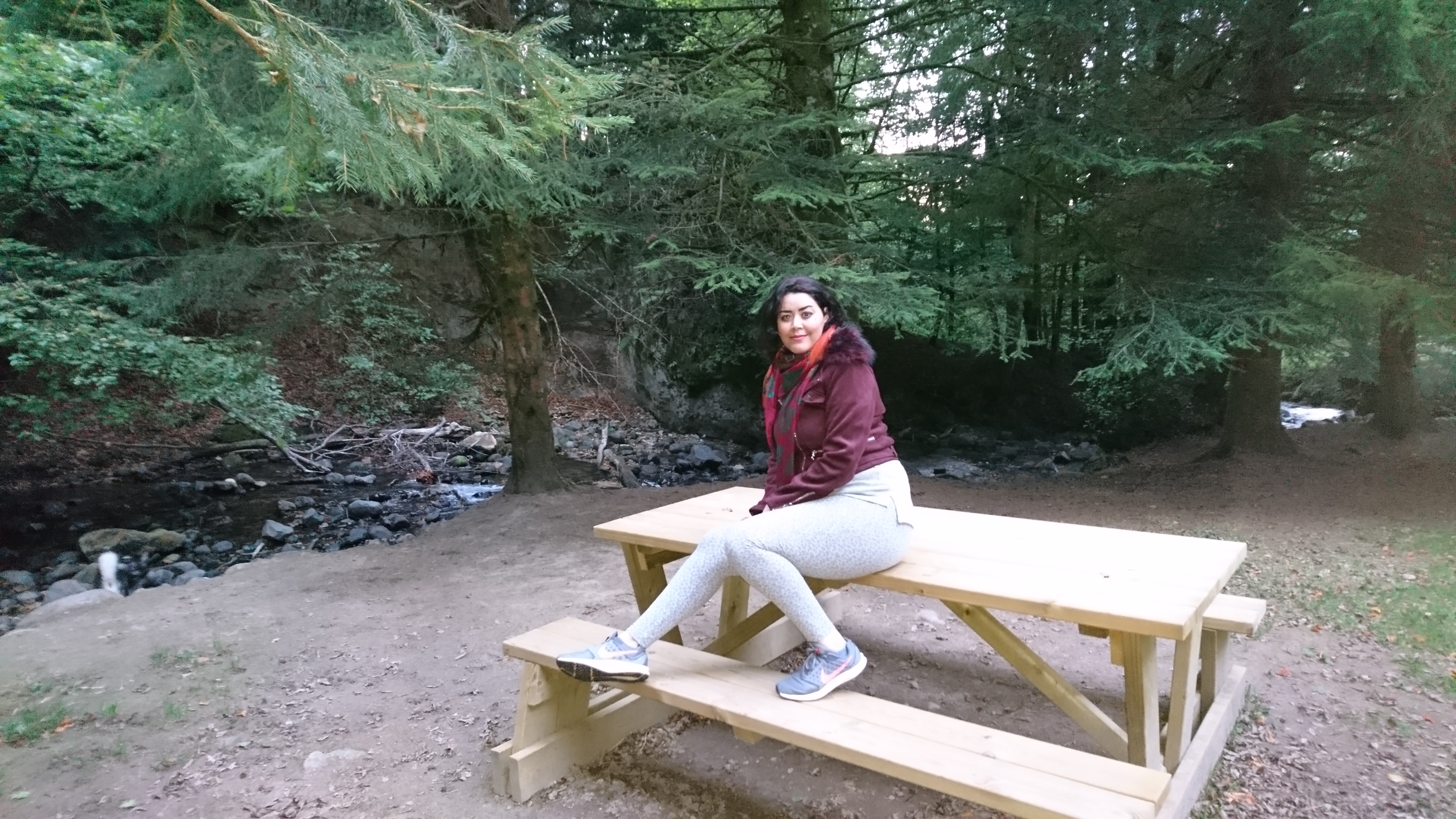 Photo n° 6 de l'avis de Noëlle. fait le 17/10/2018 à 22:05