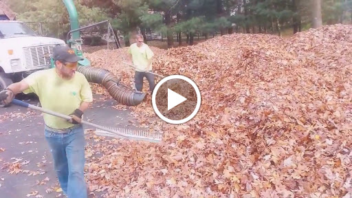 Mulch Supplier «B-Sharp Property Maintenance», reviews and photos, 6161 S Main St, Clinton, OH 44216, USA