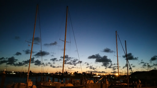 Aquarium «The Aquarium at Rockport Harbor, Inc.», reviews and photos, 706 Navigation Cir, Rockport, TX 78382, USA