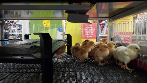 Home Improvement Store «Tractor Supply Co.», reviews and photos, 5111 Murfreesboro Rd, College Grove, TN 37046, USA