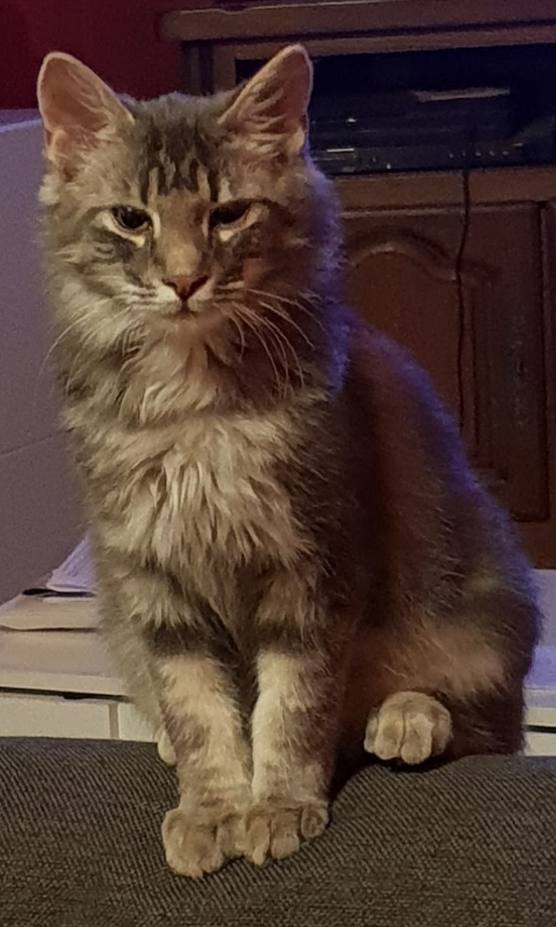 Photo n° 2 de l'avis de sylvie.y fait le 11/10/2023 à 12:08