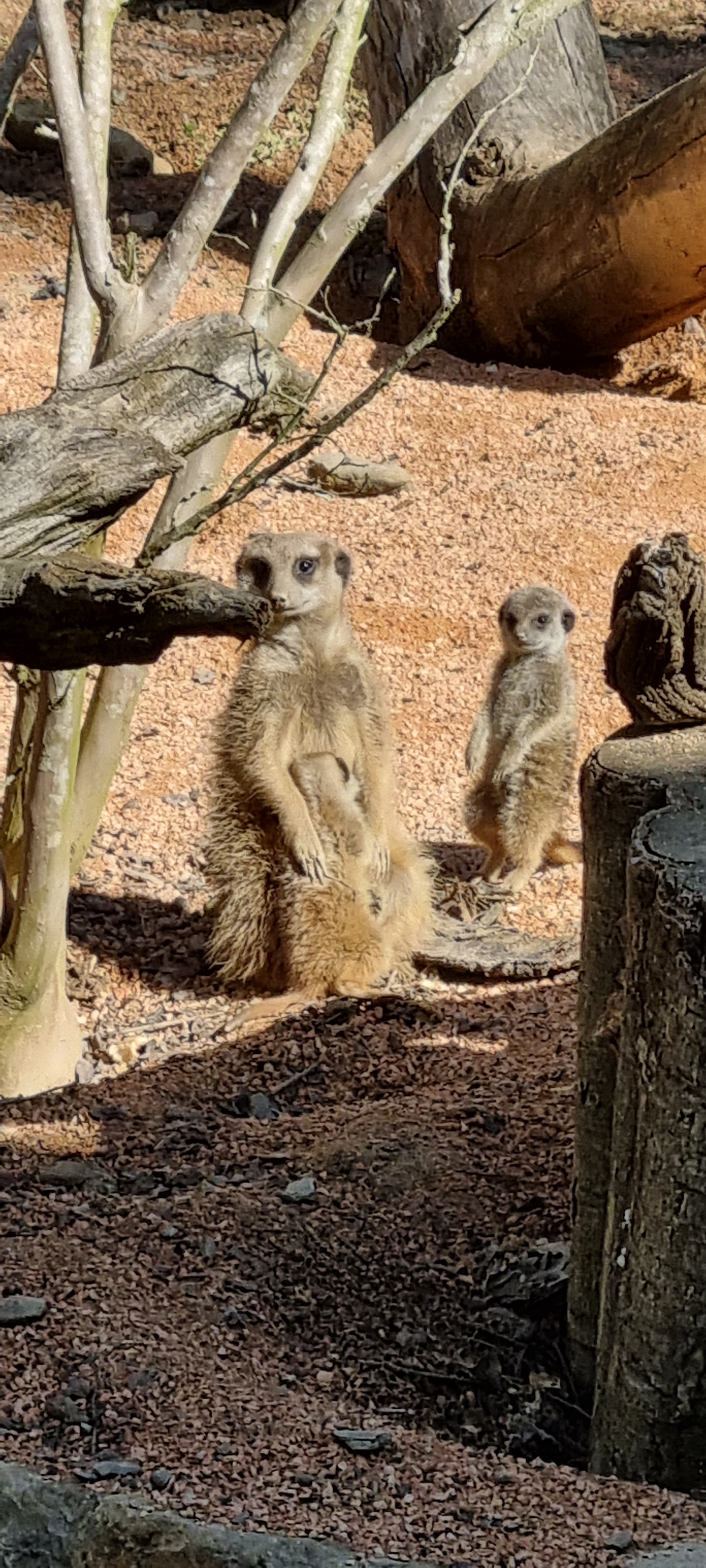 Photo n° 34 de l'avis de Anne.a fait le 25/04/2022 à 13:04