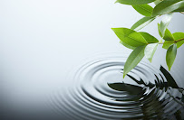 Reilly Chiropractic - Photo 1 - Car repair in Hellertown, PA, Allentown