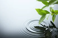 Reilly Chiropractic - Car repair in Hellertown, PA, Allentown - Rated 5.0/5