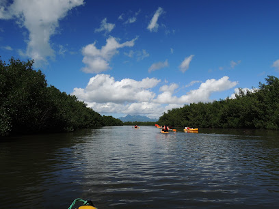 Kayak Aventure Mangrove Ducos