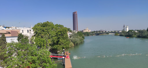 Federacion Andaluza de Triatlon