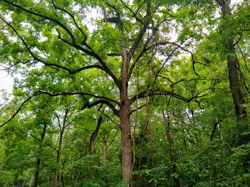 State Park «Caledon State Park», reviews and photos, 11617 Caledon Rd, King George, VA 22485, USA