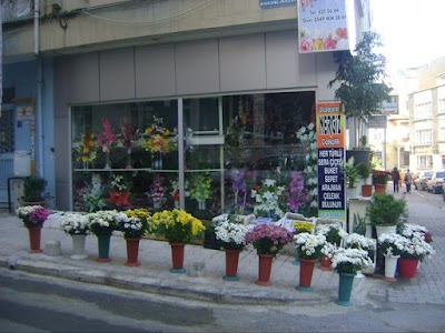 Photos of Imparator Dugun Salonu