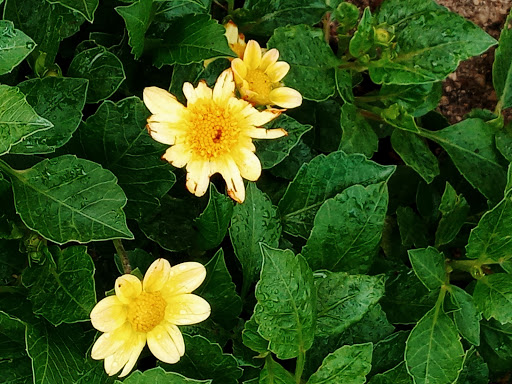 Tourist Attraction «Fond Du Lac Lighthouse», reviews and photos, Lighthouse Dr, Fond du Lac, WI 54935, USA