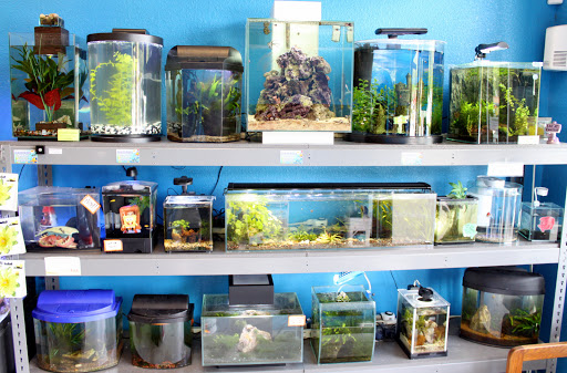 Pet Store «World of Wet Pets», reviews and photos, 8542 SW Apple Way, Portland, OR 97225, USA