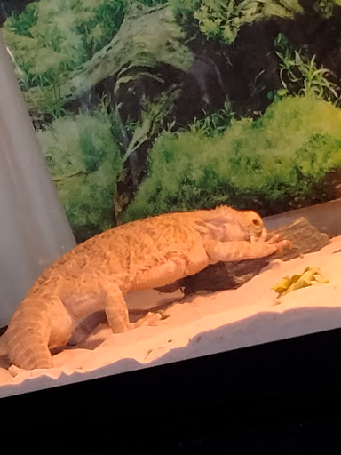 Pet Supply Store «PetSmart», reviews and photos, 467 Cross Keys Rd, Sicklerville, NJ 08081, USA