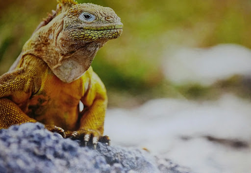 Zoo «Prospect Park Zoo», reviews and photos, 450 Flatbush Ave, Brooklyn, NY 11225, USA