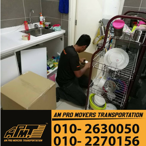 Am Pro Movers Transportation