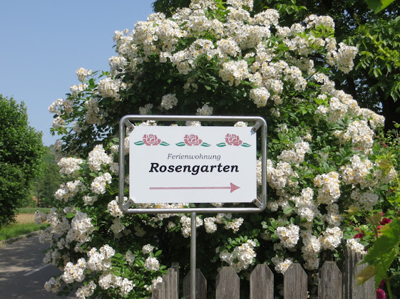 Photos du propriétaire Ferienwohnung Ferienwohnung Rosengarten 79418 Schliengen