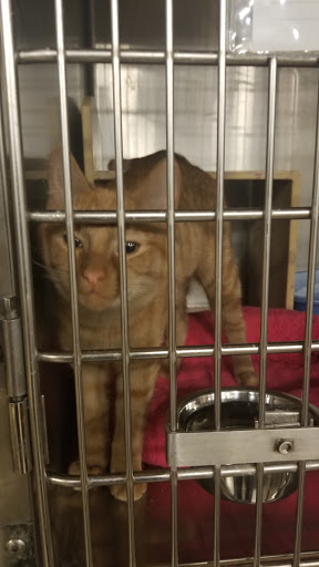 Pet Supply Store «PetSmart», reviews and photos, 5810 Antioch Rd, Merriam, KS 66202, USA