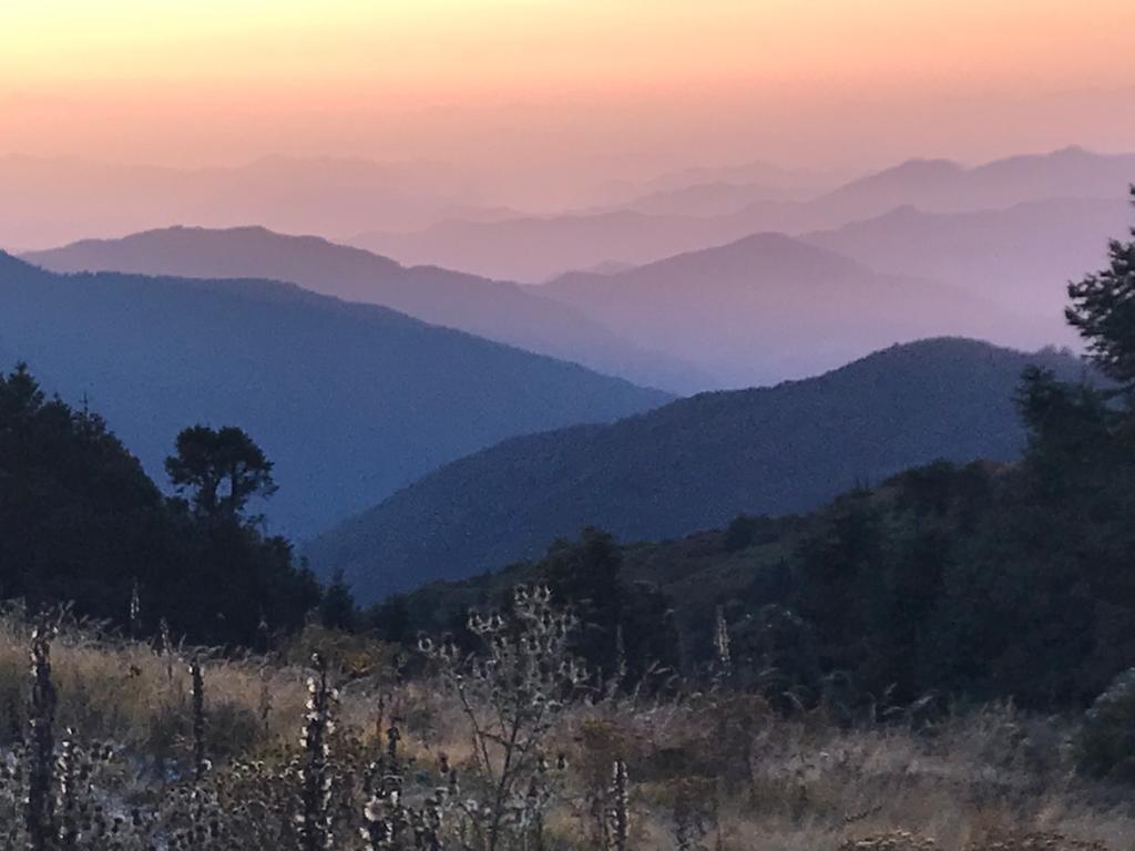 Photo n° 2 de l'avis de Patricia.a fait le 15/11/2023 à 16:20