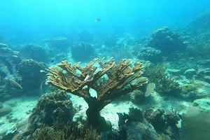 Snorkeling Place image
