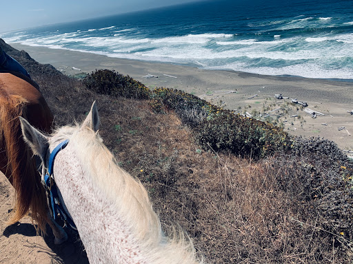 Stable «Ross Ranch», reviews and photos, 28300 Philo Greenwood Rd, Elk, CA 95432, USA