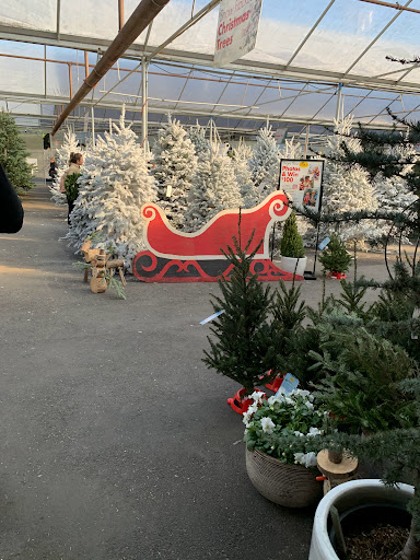 Garden Center «Pike Nurseries», reviews and photos, 615 W Crossville Rd, Roswell, GA 30075, USA