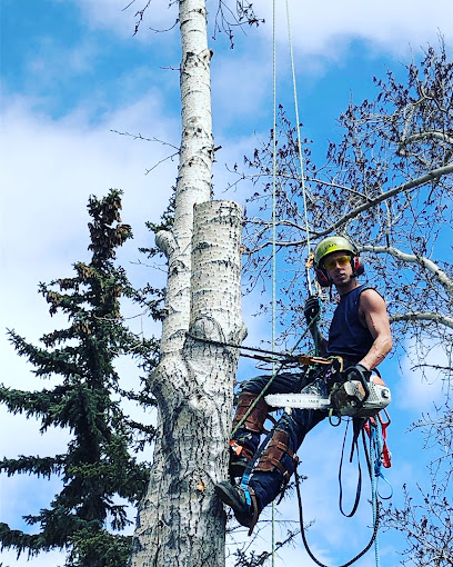 Symmetree Arborist Services