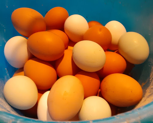 Diane's Eggs
