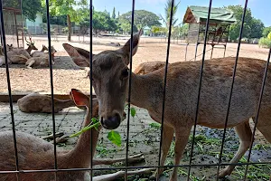 Captive Deer Brigif image