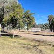 Cave Creek Park - Cactus