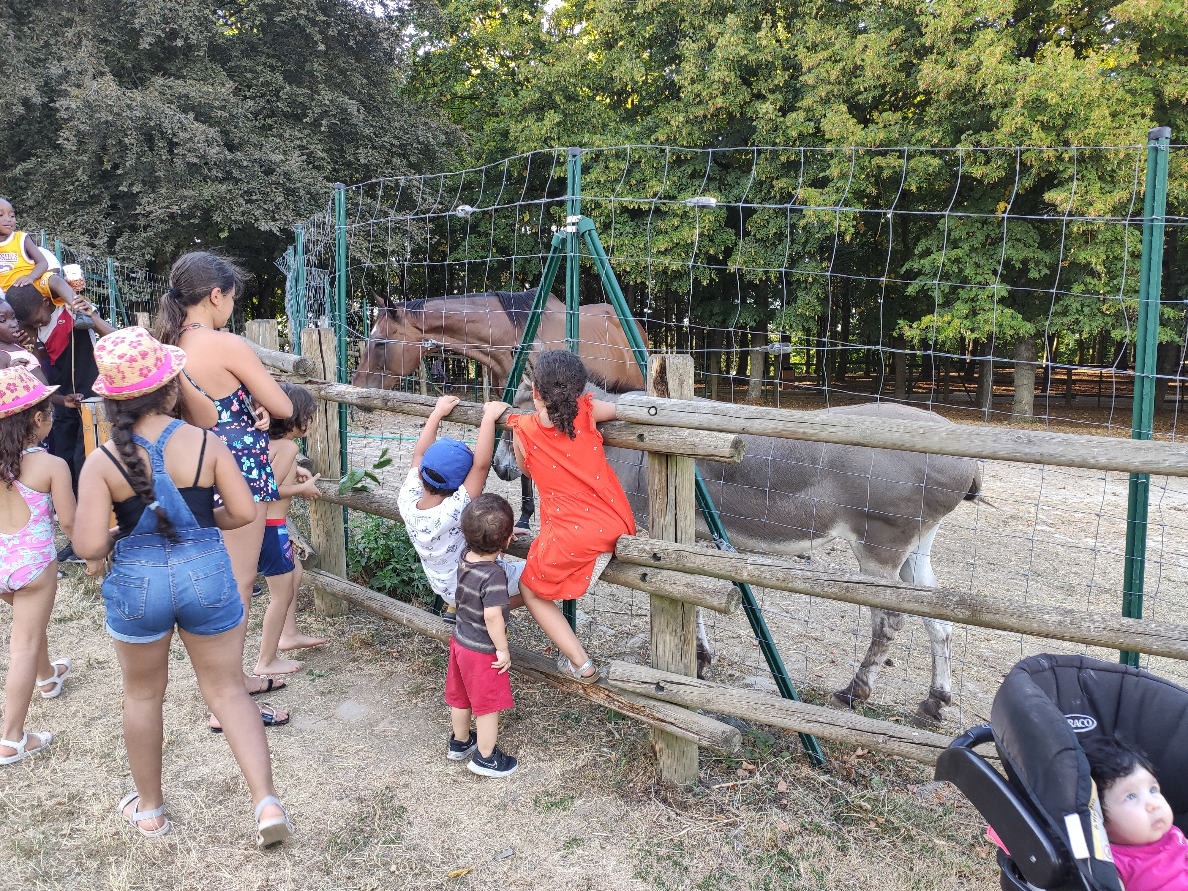 Photo n° 1 de l'avis de Yamina. fait le 11/05/2018 à 09:40