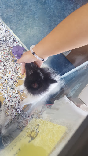 Pet Store «V.I. Pets», reviews and photos, 11975 E Lakewood Blvd, Holland, MI 49424, USA